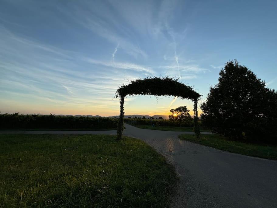 Ferienwohnung In Der Suedpfalz Zeiskam Buitenkant foto
